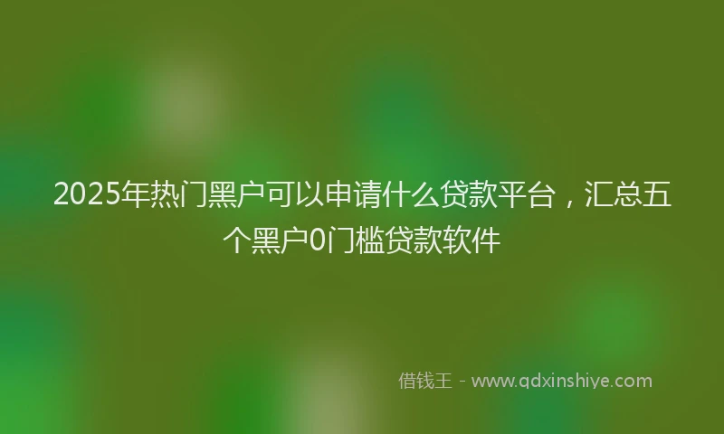 2025年热门黑户可以申请什么贷款平台,汇总五个黑户0门槛贷款软件