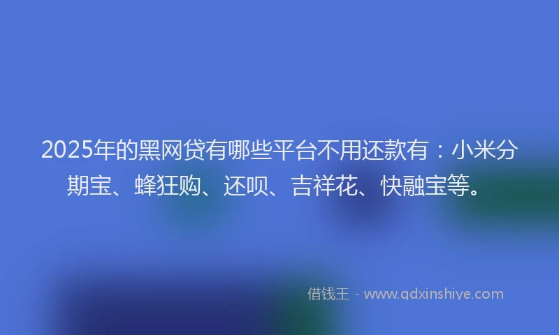 2025年的黑网贷有哪些平台不用还款有：小米分期宝、蜂狂购、还呗、吉祥花、快融宝等。