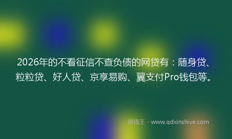 2026年的不看征信不查负债的网贷有:随身贷、粒粒贷、好人贷、京享易购、翼支付Pro钱包等。