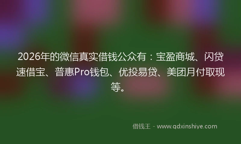2026年的微信真实借钱公众有：宝盈商城、闪贷速借宝、普惠Pro钱包、优投易贷、美团月付取现等。