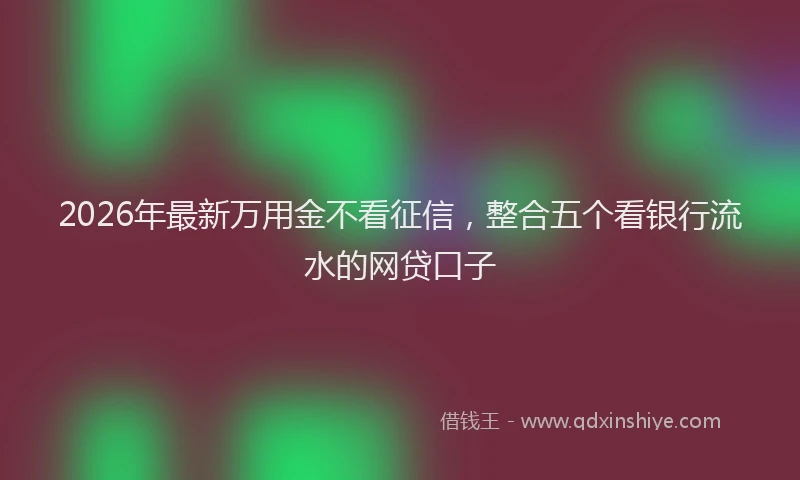 2026年最新万用金不看征信,整合五个看银行流水的网贷口子
