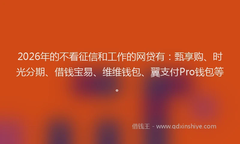 2026年的不看征信和工作的网贷有：甄享购、时光分期、借钱宝易、维维钱包、翼支付Pro钱包等。
