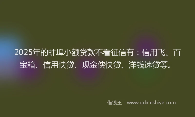 2025年的蚌埠小额贷款不看征信有：信用飞、百宝箱、信用快贷、现金侠快贷、洋钱速贷等。