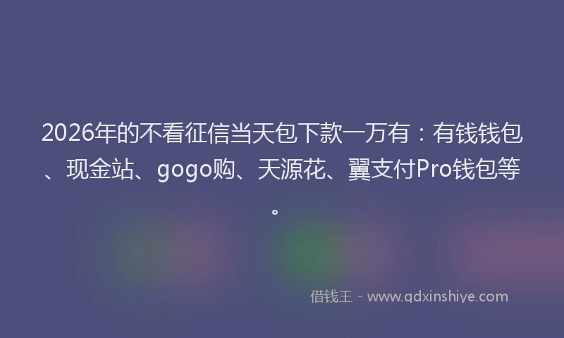 2026年的不看征信当天包下款一万有：有钱钱包、现金站、gogo购、天源花、翼支付Pro钱包等。