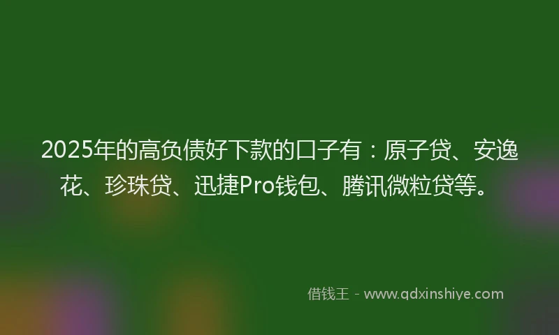 2025年的高负债好下款的口子有:原子贷、安逸花、珍珠贷、迅捷Pro钱包、腾讯微粒贷等。