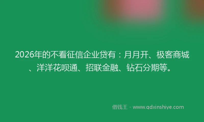 2026年的不看征信企业贷有:月月开、极客商城、洋洋花呗通、招联金融、钻石分期等。