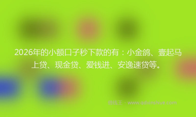 2026年的小额口子秒下款的有：小金鸽、壹起马上贷、现金贷、爱钱进、安逸速贷等。