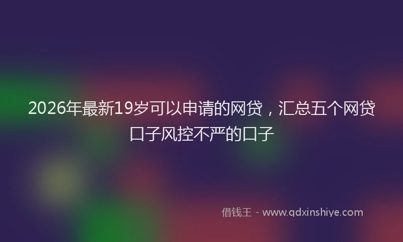 2026年最新19岁可以申请的网贷,汇总五个网贷口子风控不严的口子