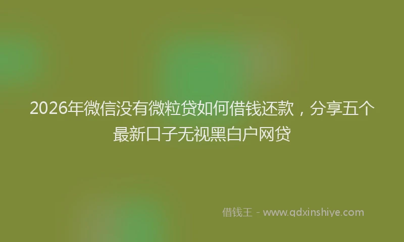 2026年微信没有微粒贷如何借钱还款,分享五个最新口子无视黑白户网贷