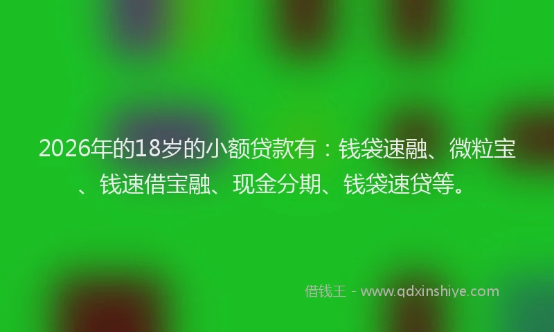 2026年的18岁的小额贷款有：钱袋速融、微粒宝、钱速借宝融、现金分期、钱袋速贷等。