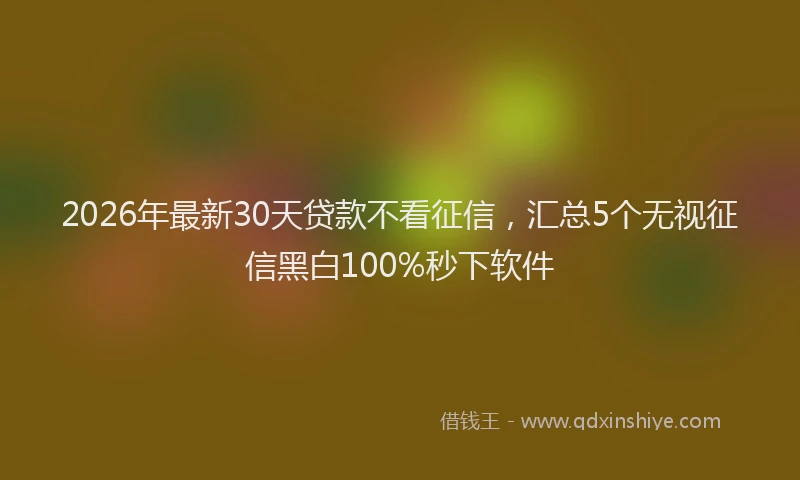 2026年最新30天贷款不看征信，汇总5个无视征信黑白100%秒下软件