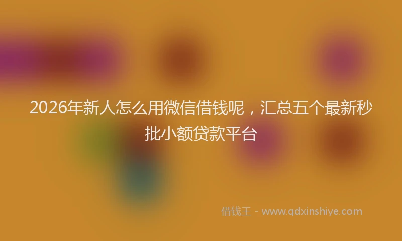 2026年新人怎么用微信借钱呢，汇总五个最新秒批小额贷款平台