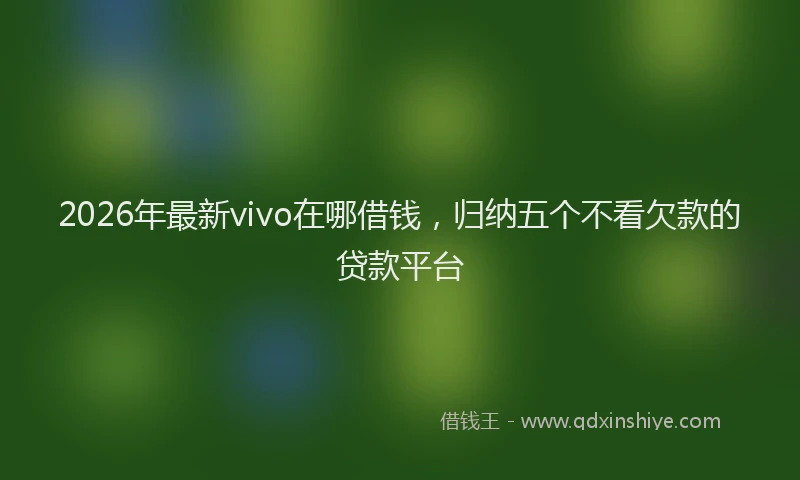 2026年最新vivo在哪借钱，归纳五个不看欠款的贷款平台