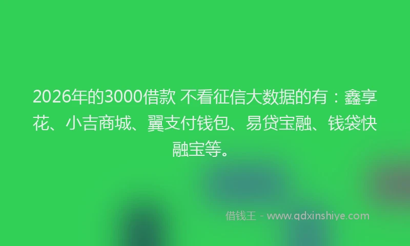 2026年的3000借款 不看征信大数据的有:鑫享花、小吉商城、翼支付钱包、易贷宝融、钱袋快融宝等。