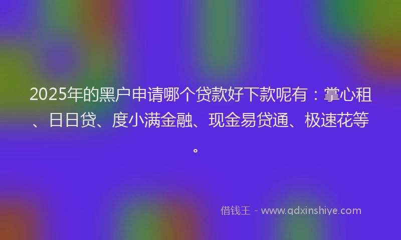 2025年的黑户申请哪个贷款好下款呢有:掌心租、日日贷、度小满金融、现金易贷通、极速花等。