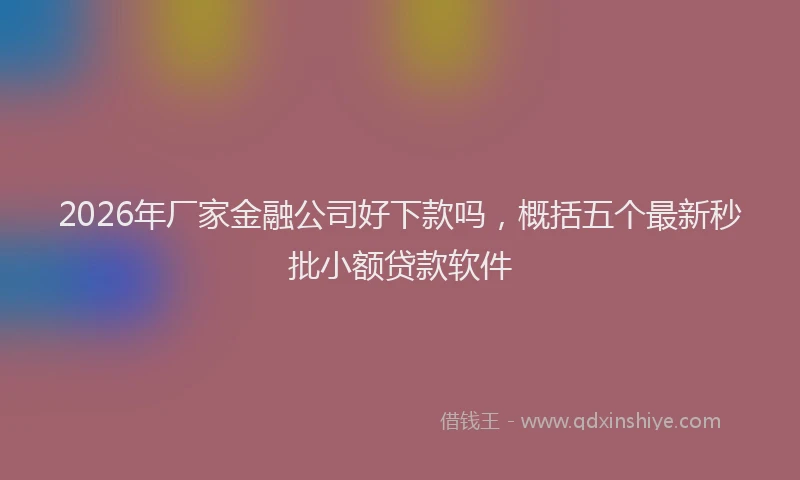 2026年厂家金融公司好下款吗，概括五个最新秒批小额贷款软件