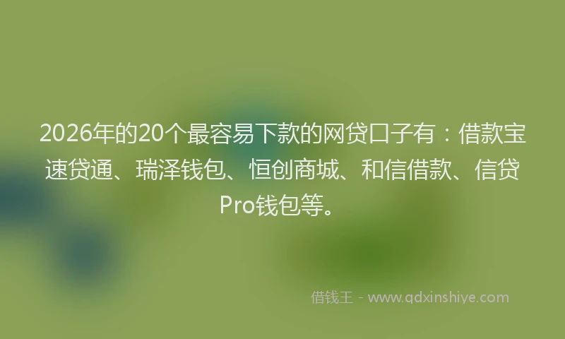 2026年的20个最容易下款的网贷口子有：借款宝速贷通、瑞泽钱包、恒创商城、和信借款、信贷Pro钱包等。
