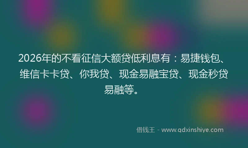 2026年的不看征信大额贷低利息有：易捷钱包、维信卡卡贷、你我贷、现金易融宝贷、现金秒贷易融等。