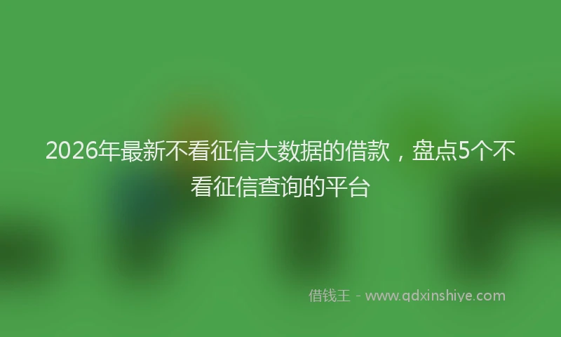 2026年最新不看征信大数据的借款，盘点5个不看征信查询的平台