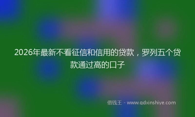 2026年最新不看征信和信用的贷款,罗列五个贷款通过高的口子