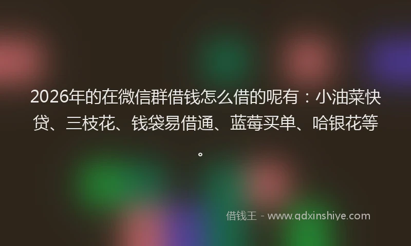 2026年的在微信群借钱怎么借的呢有:小油菜快贷、三枝花、钱袋易借通、蓝莓买单、哈银花等。