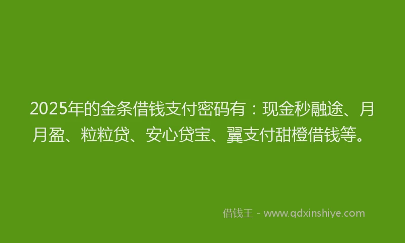 2025年的金条借钱支付密码有:现金秒融途、月月盈、粒粒贷、安心贷宝、翼支付甜橙借钱等。