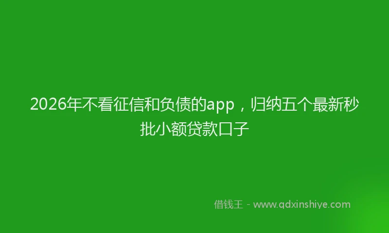 2026年不看征信和负债的app，归纳五个最新秒批小额贷款口子