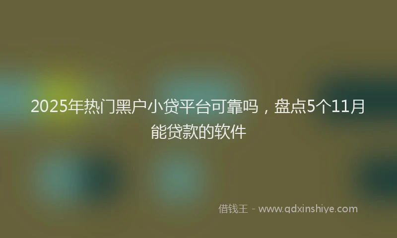 2025年热门黑户小贷平台可靠吗,盘点5个11月能贷款的软件
