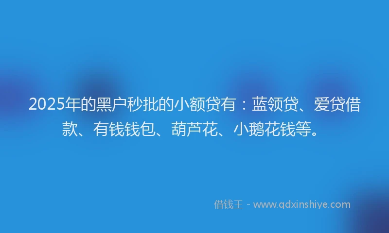 2025年的黑户秒批的小额贷有：蓝领贷、爱贷借款、有钱钱包、葫芦花、小鹅花钱等。
