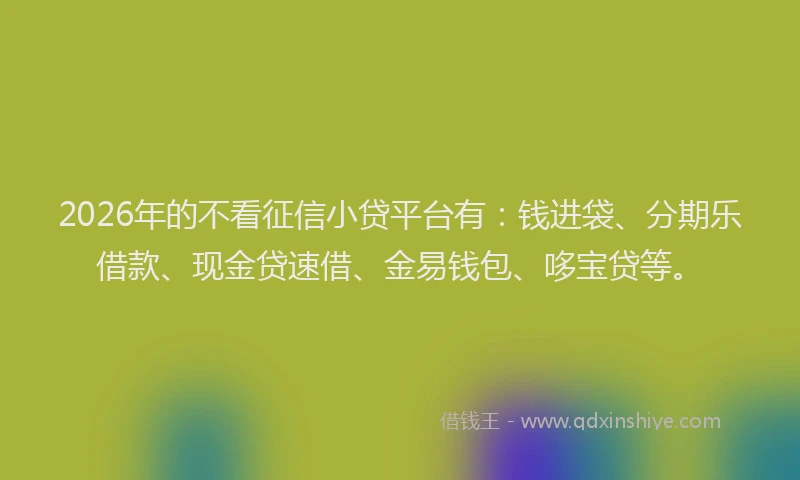 2026年的不看征信小贷平台有：钱进袋、分期乐借款、现金贷速借、金易钱包、哆宝贷等。