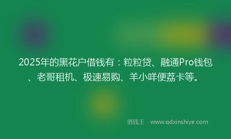 2025年的黑花户借钱有：粒粒贷、融通Pro钱包、老哥租机、极速易购、羊小咩便荔卡等。