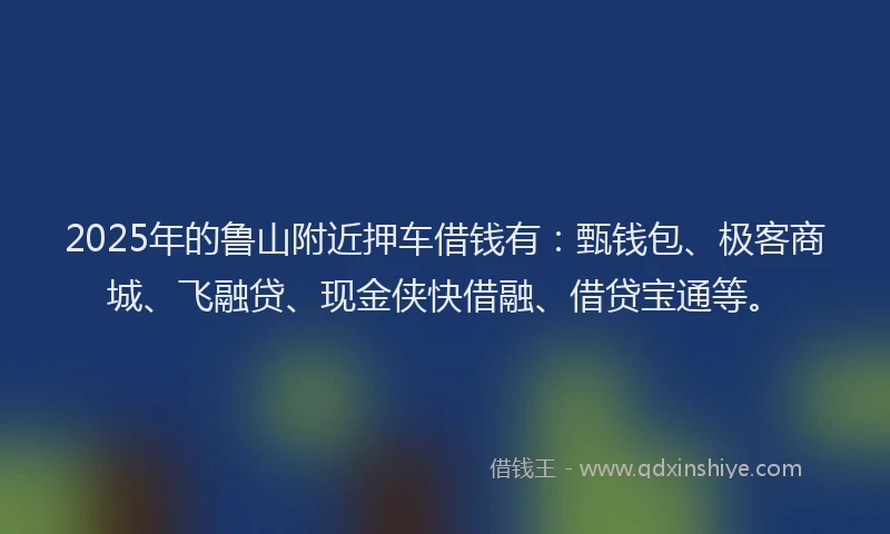 2025年的鲁山附近押车借钱有:甄钱包、极客商城、飞融贷、现金侠快借融、借贷宝通等。