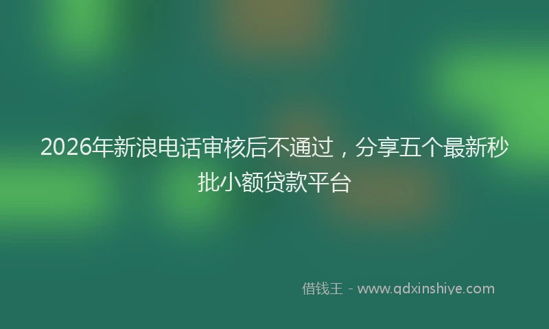 2026年新浪电话审核后不通过，分享五个最新秒批小额贷款平台