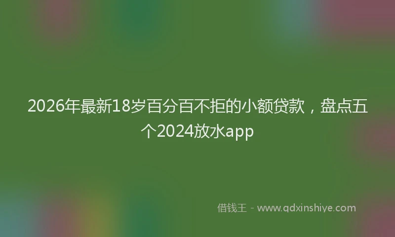 2026年最新18岁百分百不拒的小额贷款，盘点五个2024放水app