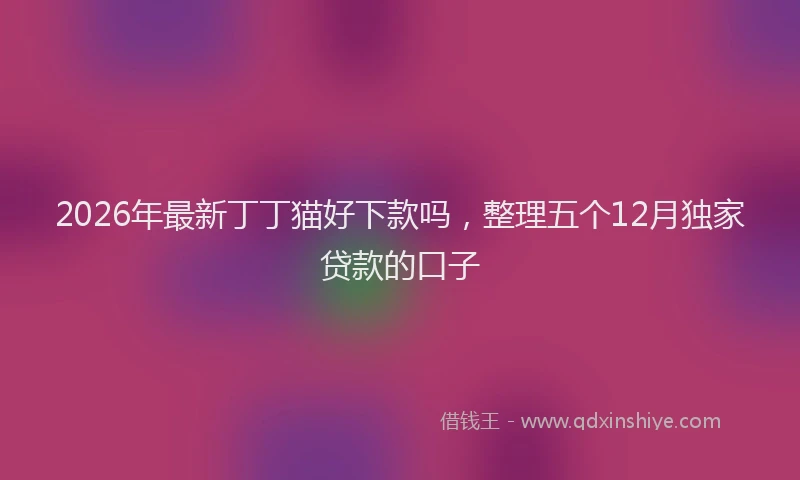 2026年最新丁丁猫好下款吗，整理五个12月独家贷款的口子