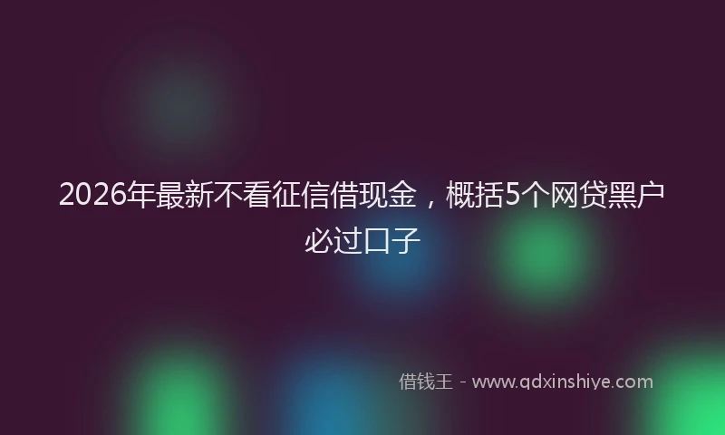 2026年最新不看征信借现金，概括5个网贷黑户必过口子