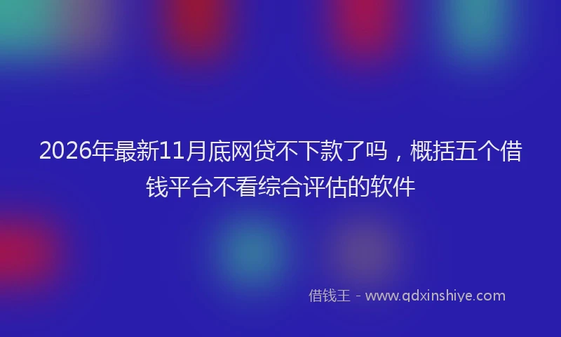 2026年最新11月底网贷不下款了吗，概括五个借钱平台不看综合评估的软件