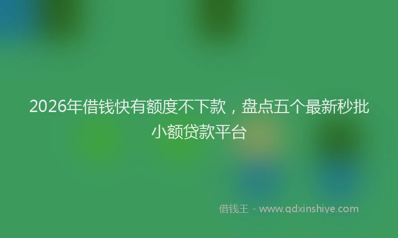 2026年借钱快有额度不下款，盘点五个最新秒批小额贷款平台