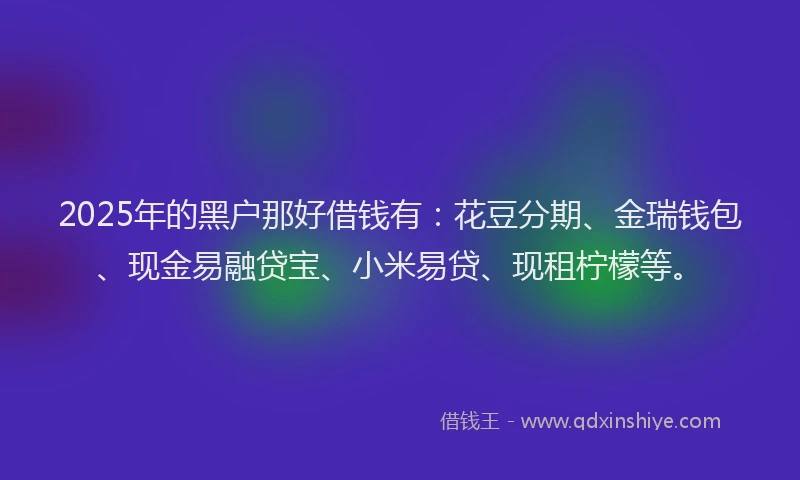 2025年的黑户那好借钱有：花豆分期、金瑞钱包、现金易融贷宝、小米易贷、现租柠檬等。