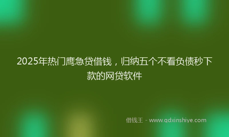 2025年热门鹰急贷借钱，归纳五个不看负债秒下款的网贷软件