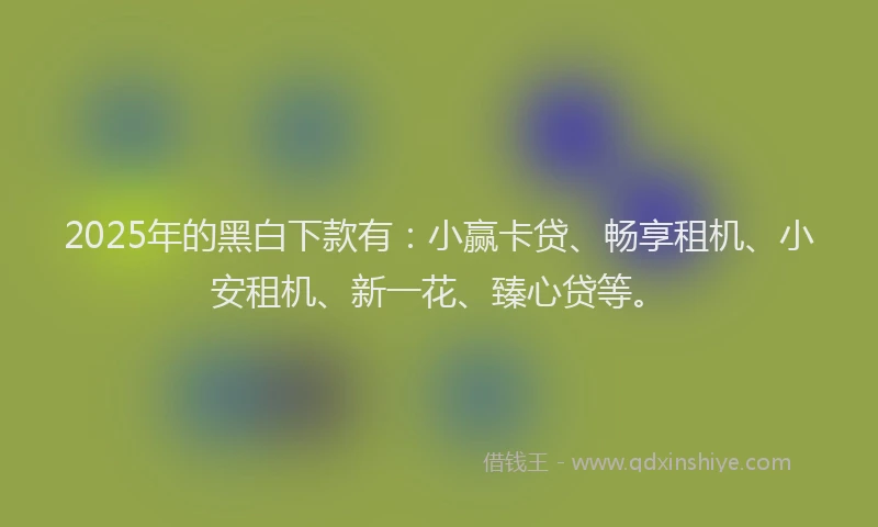 2025年的黑白下款有：小赢卡贷、畅享租机、小安租机、新一花、臻心贷等。