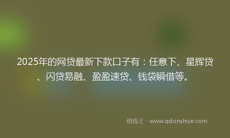 2025年的网贷最新下款口子有：任意下、星辉贷、闪贷易融、盈盈速贷、钱袋瞬借等。