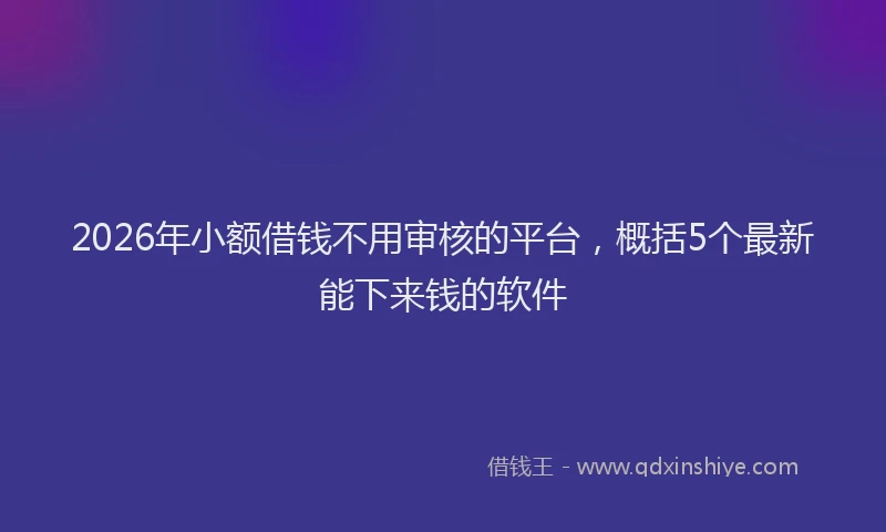 2026年小额借钱不用审核的平台，概括5个最新能下来钱的软件