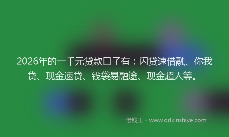 2026年的一千元贷款口子有：闪贷速借融、你我贷、现金速贷、钱袋易融途、现金超人等。