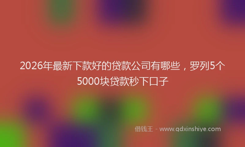 2026年最新下款好的贷款公司有哪些,罗列5个5000块贷款秒下口子