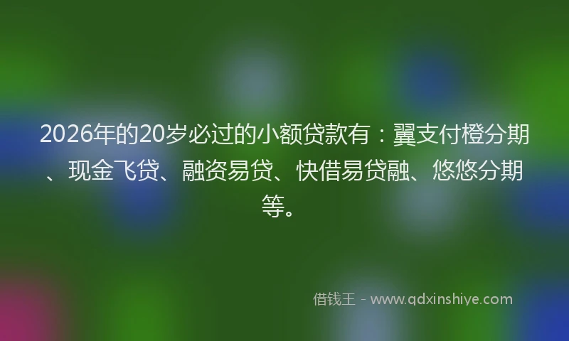2026年的20岁必过的小额贷款有：翼支付橙分期、现金飞贷、融资易贷、快借易贷融、悠悠分期等。