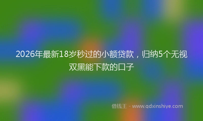 2026年最新18岁秒过的小额贷款，归纳5个无视双黑能下款的口子