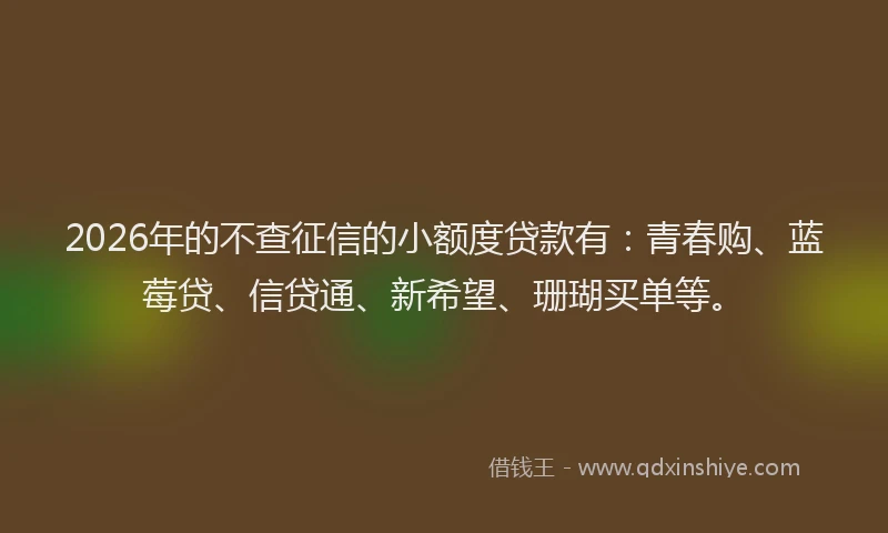 2026年的不查征信的小额度贷款有:青春购、蓝莓贷、信贷通、新希望、珊瑚买单等。