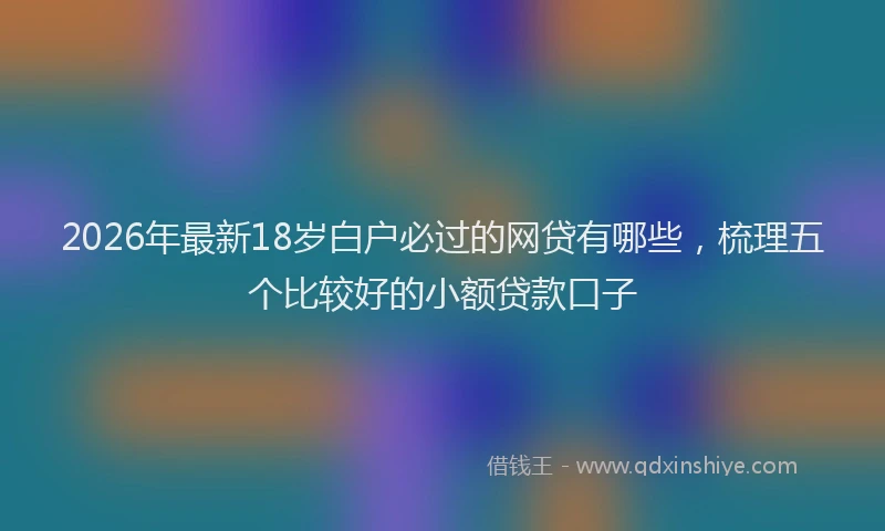 2026年最新18岁白户必过的网贷有哪些，梳理五个比较好的小额贷款口子