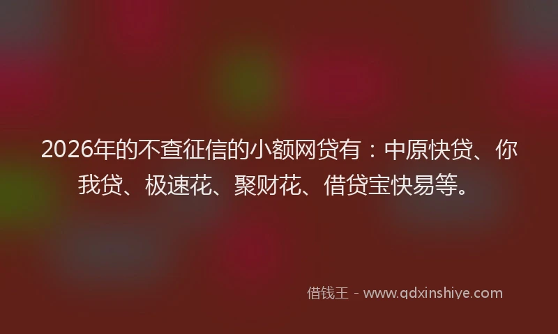 2026年的不查征信的小额网贷有：中原快贷、你我贷、极速花、聚财花、借贷宝快易等。